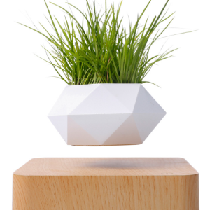 levitating and rotating green plants in the air